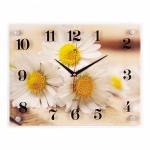 Часы настенные "Милые ромашки" 3040-119