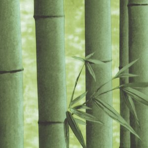 Пленка самоклеящаяся 45см*8м 09-1А  бамбук зеленый