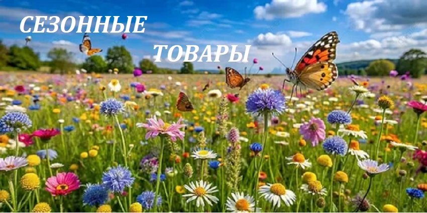 Слайд: подборка лето
