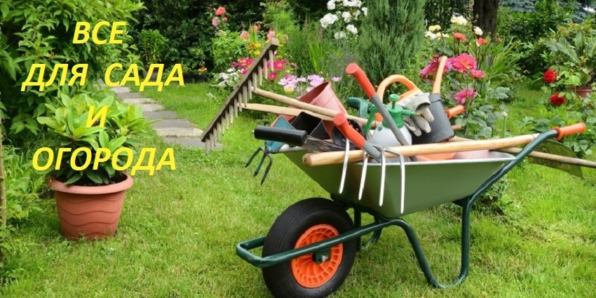 Слайд: <p><font color=