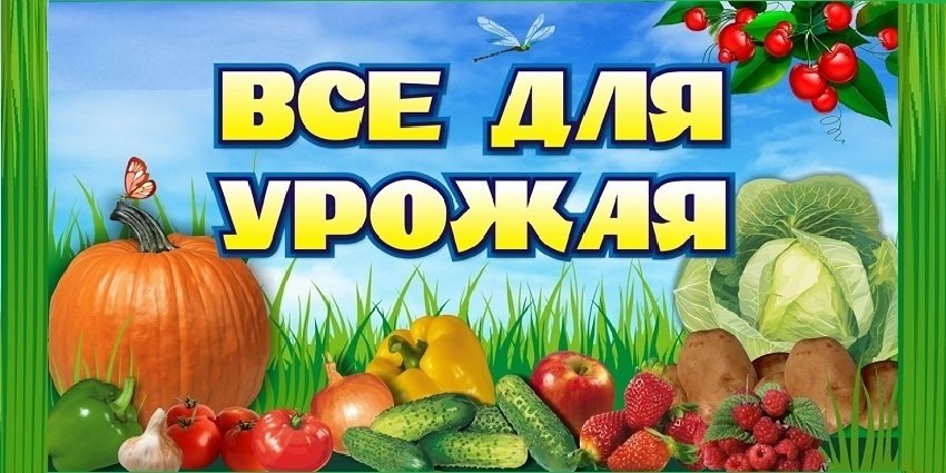 Слайд: <p><font color=