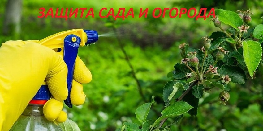 Слайд: <p><font color=