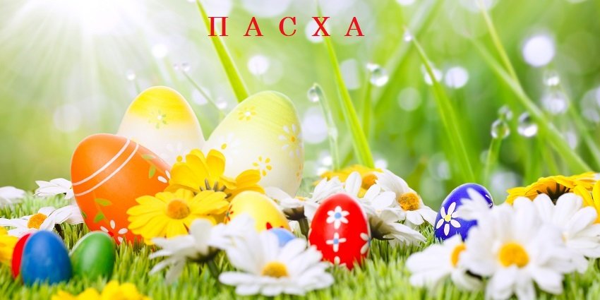 <p><font color=