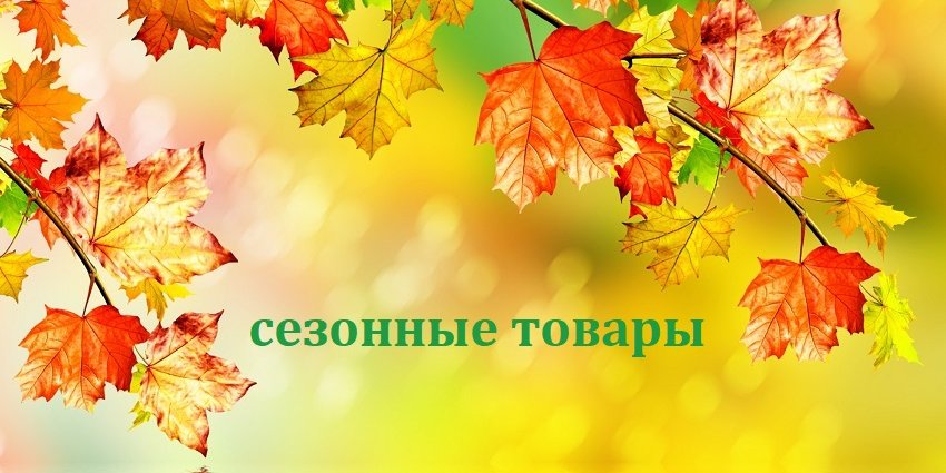 Слайд: Подборка осень