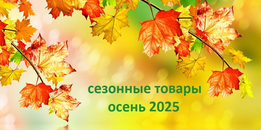 Слайд: Подборка осень