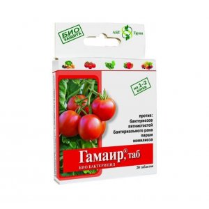 Гамаир (табл.20шт)