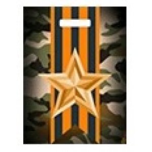 Пакет п/э с выруб. ручкой 40х31см, 60мкм Отвага