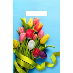 Пакет п/э с выруб. ручкой 20х30см, 30мкм Тюльпаны на голубом (выписывать по 10)