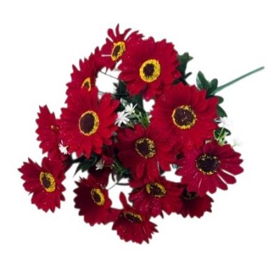 Букет гербер бархатных 18цв 62см