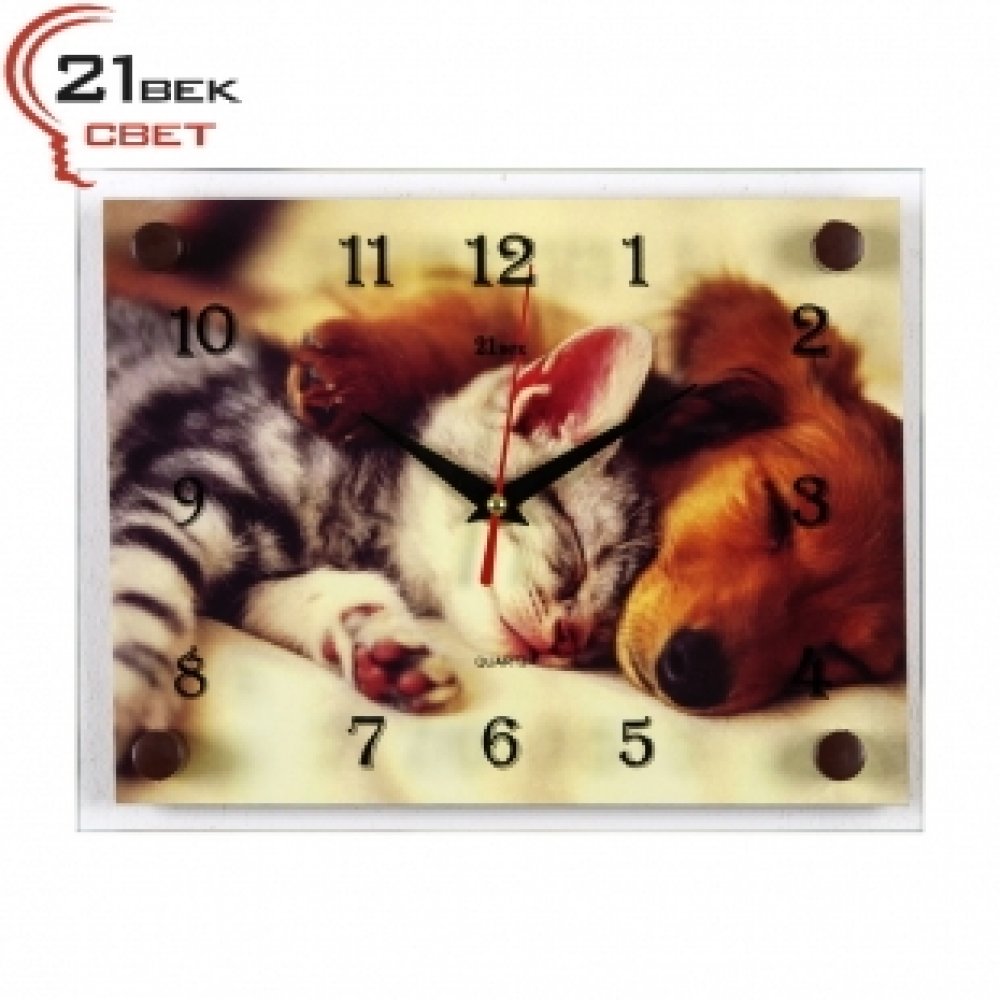 Сладкие часы. Настенные часы с кошкой и собакой большие картиной. Часы настенные болонка артикул 2026 -122. Часы из сладких. Часы 2026