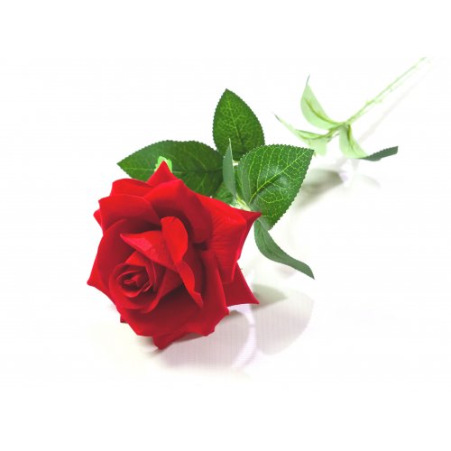 Роза бархатная 65см