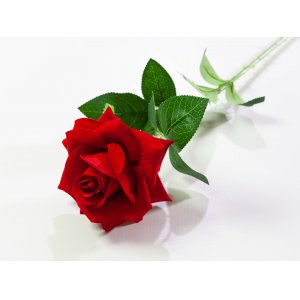 Роза бархатная 64см