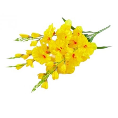 Букет гладиолуса 40цв. 67см