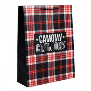Пакет бумажный подарочный 28*38*9см Real strong