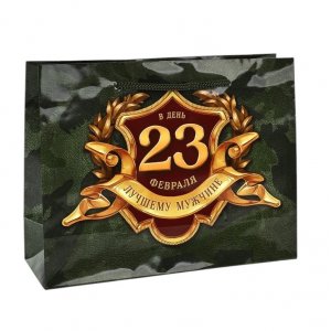 Пакет бумажный подарочный 23*18*8см С 23 февраля