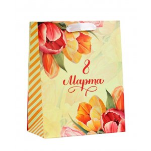 Пакет подарочный бумажный 18*23*10см Яркий момент
