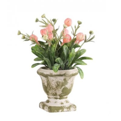 Бонсай "Краспедия шаровидная" 8*19 см, микс