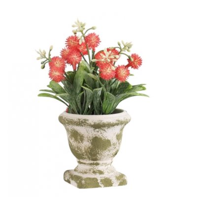 Бонсай "Скабиоза экстра" 9*18 см, микс