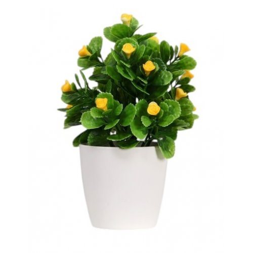 Бонсай в горшке 