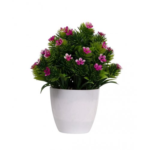 Бонсай в горшке 