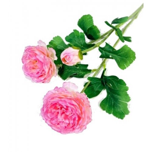 Ветка пионов 2 цветка 1 бутон   микс